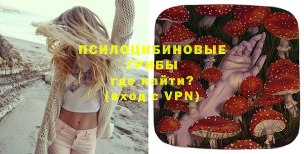ешки Белоозёрский